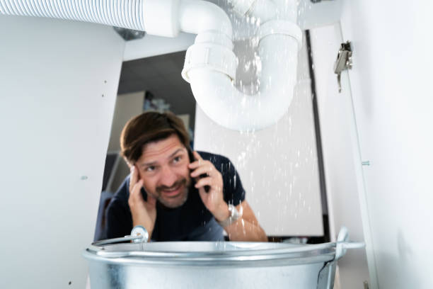 Best Water Heater Repair  in Glenwood, IL