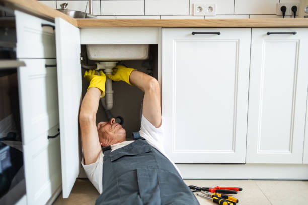 Best Affordable Plumbing Services  in Glenwood, IL