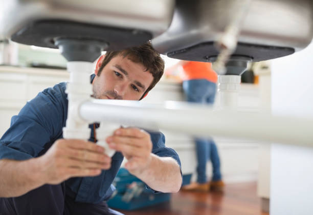 Best Local Plumber Services  in Glenwood, IL